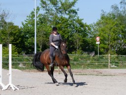 IMG_0614_web